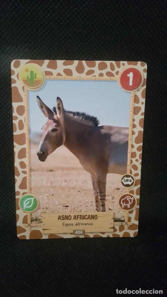 Trading cards: PANINI REWILD - N&ordm; 404 - Foto 1