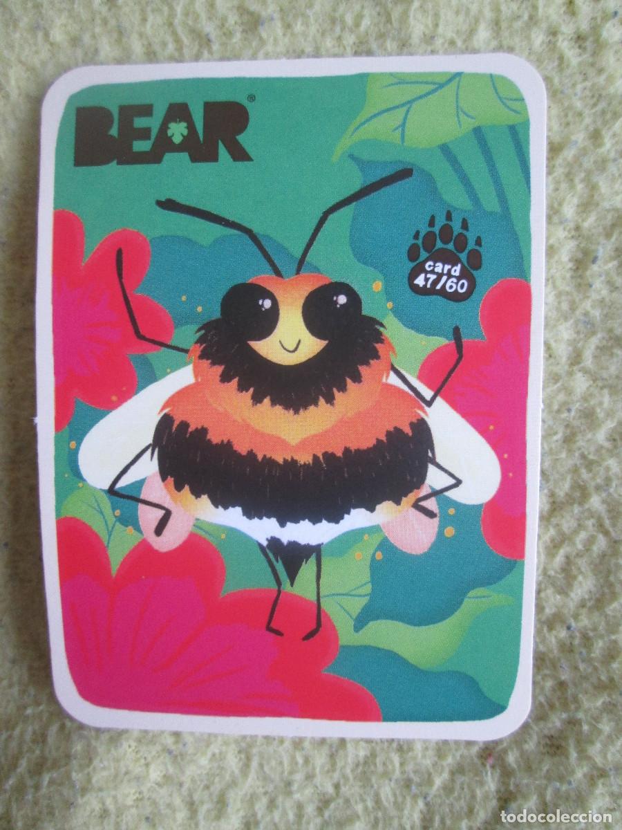 Trading cards: BEAR CARD 47 - Foto 1