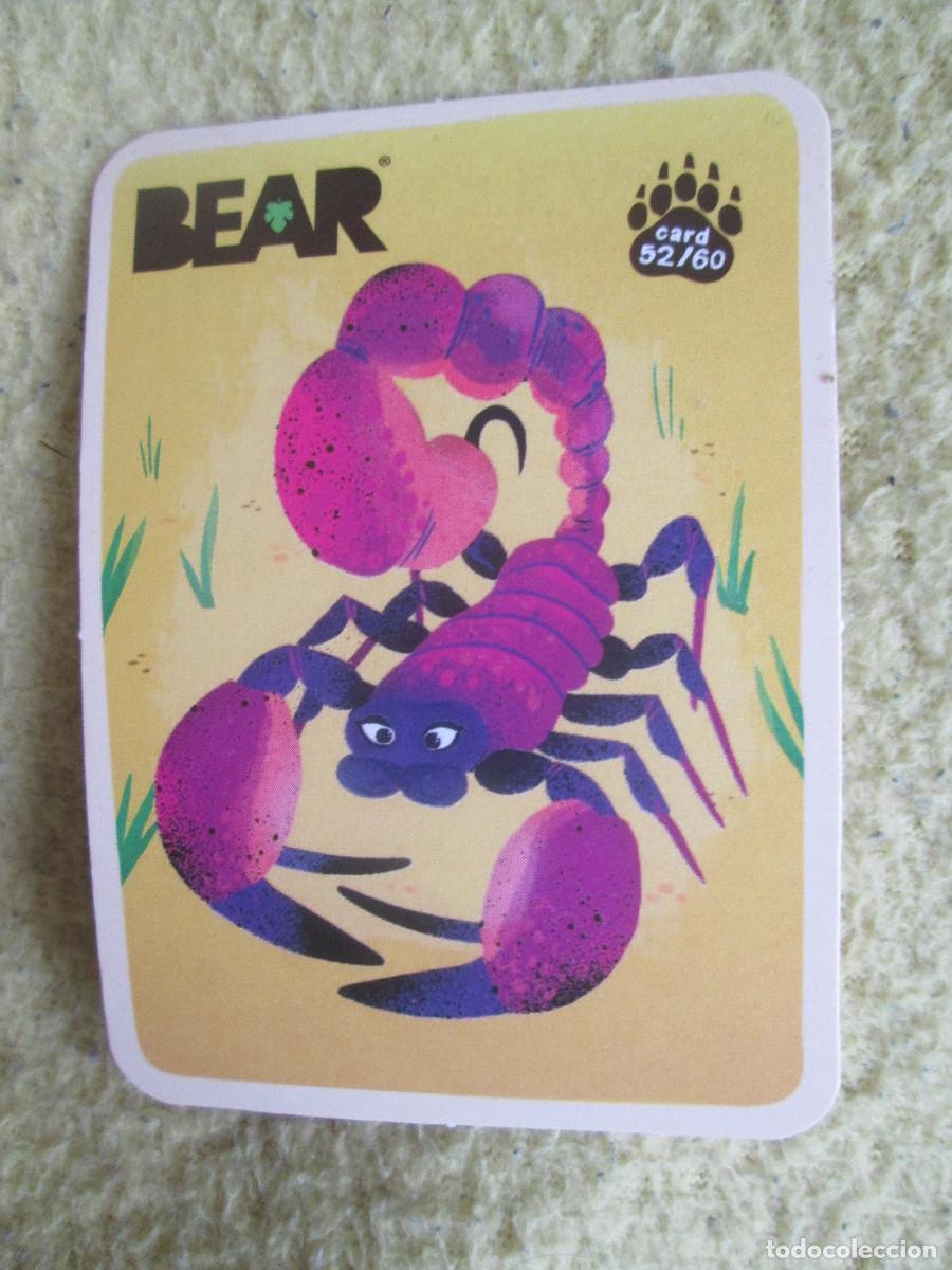 Trading cards: BEAR CARD 52 - Foto 1