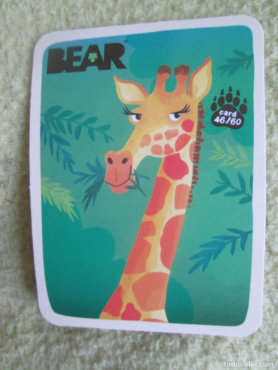 Trading cards: BEAR CARD 46 - Foto 1