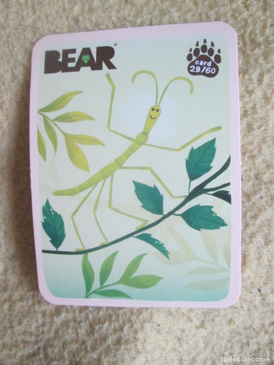 Trading cards: BEAR CARD 29 - Foto 1