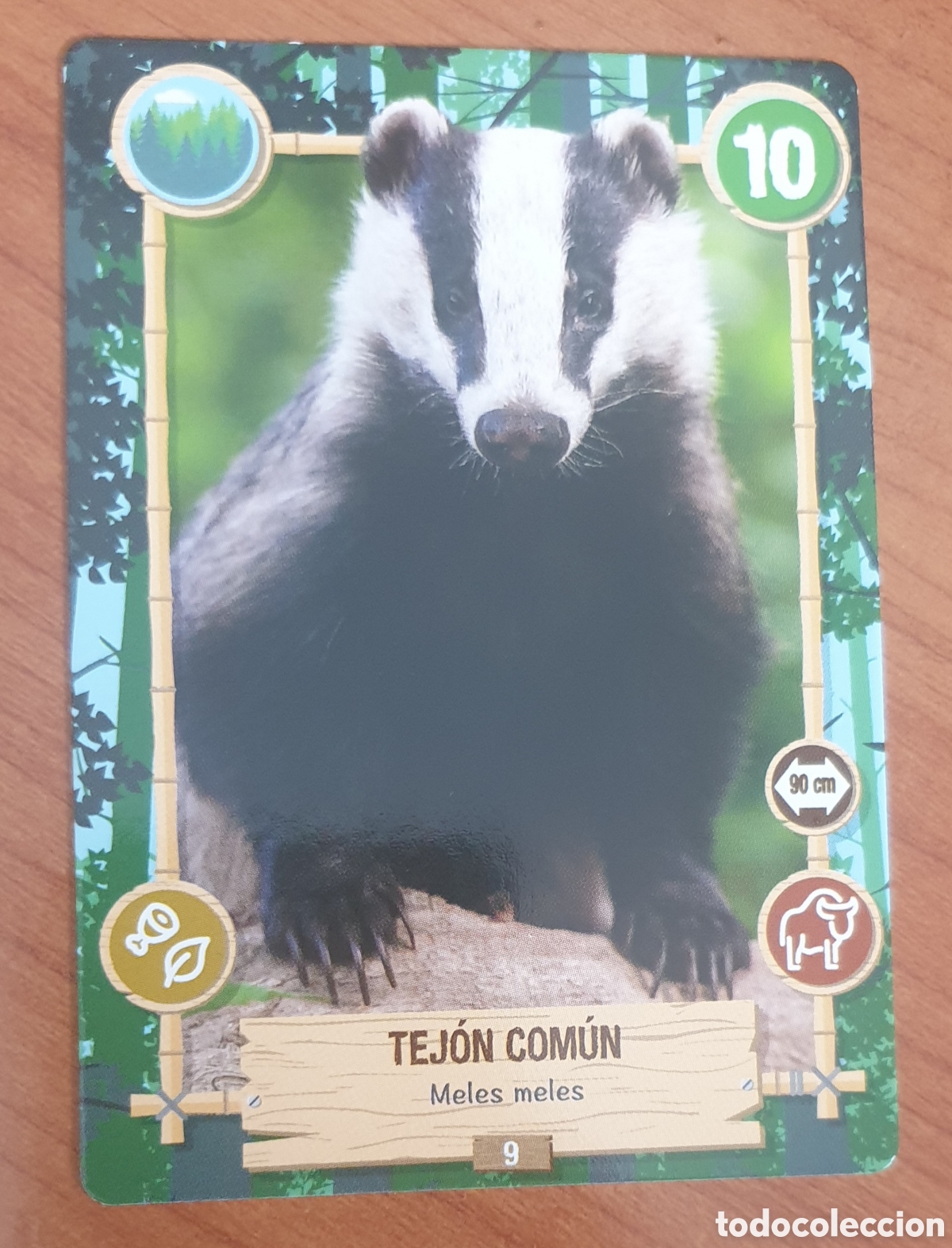 Trading cards: CARTA REWILD PANINI N&deg; 9 TEJ&Oacute;N COM&Uacute;N - Foto 1