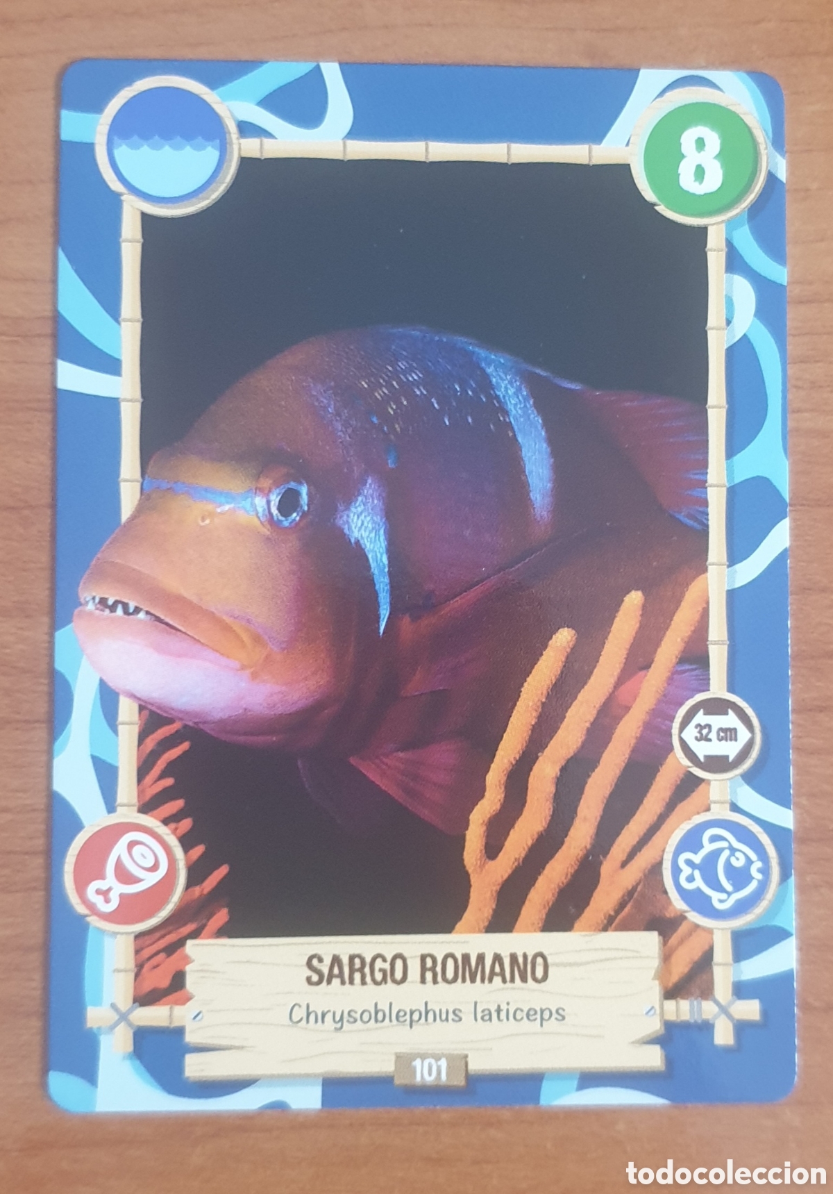 Trading cards: CARTA REWILD PANINI N&deg; 101 SARGO ROMANO - Foto 1