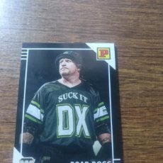 Trading Cards: PANINI WWE DEBUT EDITION NÚMERO LEGENDS 136 ROAD DOGG. Lote 388797029