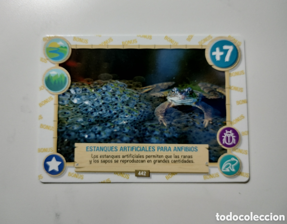 Trading cards: REWILD PANINI 442 ESTANQUES ARTIFICIALES PARA ANFIBIOS - Foto 1