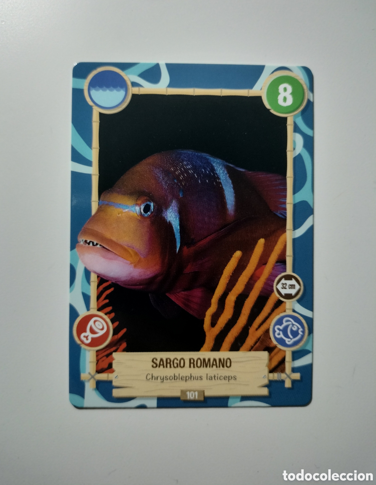 Trading cards: REWILD PANINI 101 SARGO ROMANO - Foto 1
