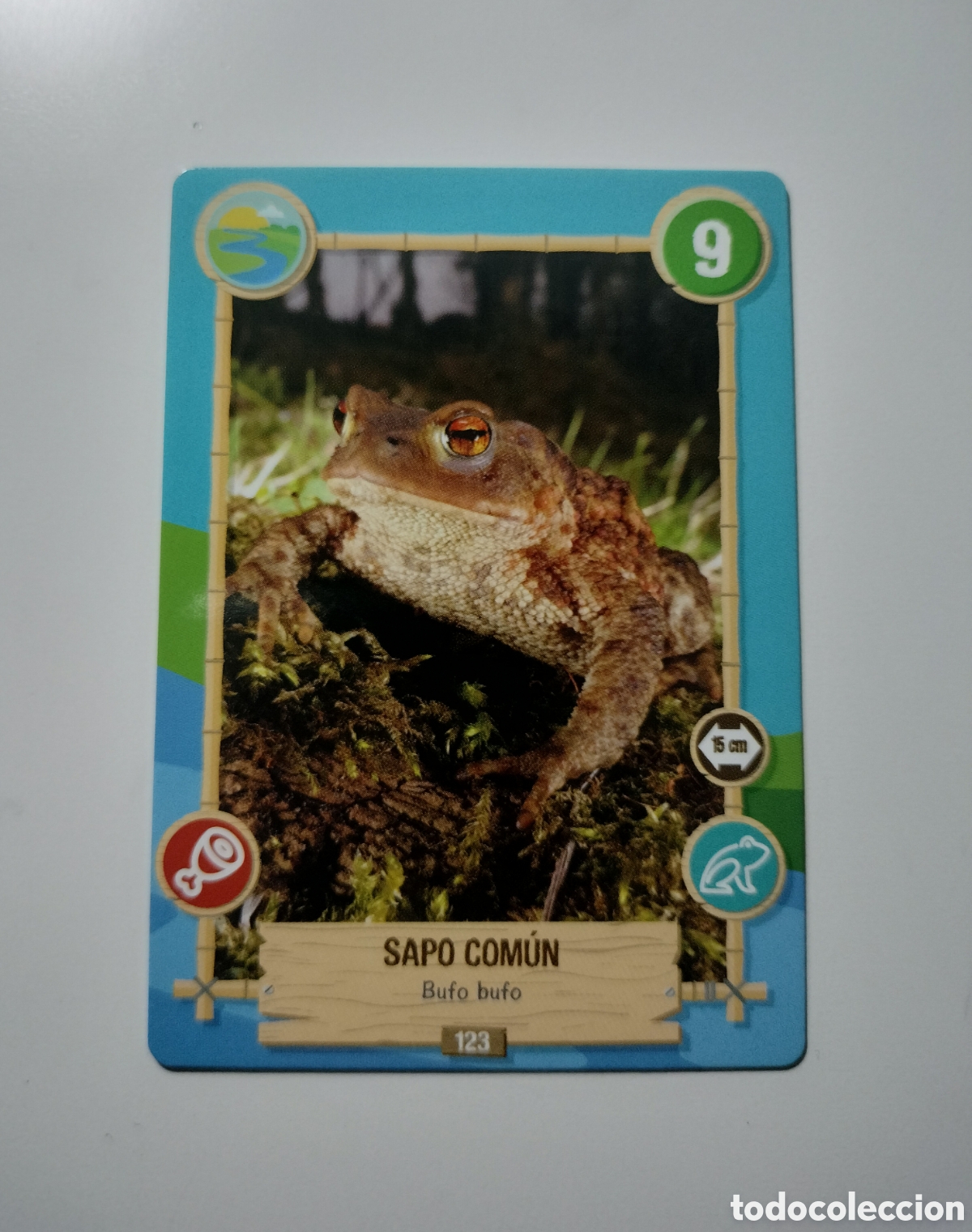 Trading cards: REWILD PANINI 123 SAPO COM&Uacute;N - Foto 1