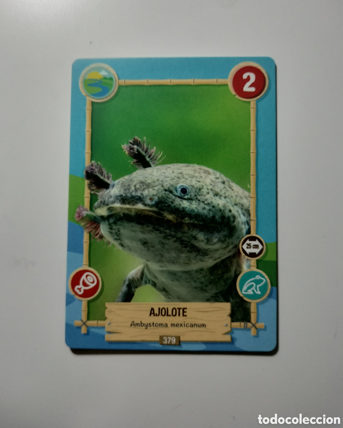 Trading cards: REWILD PANINI 379 AJOLOTE - Foto 1