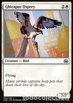 Trading Cards: Carta MTG-Falco Pescatore di Ghirapur-Aether Revolt-ITA-NM-C - Magic The Garthering