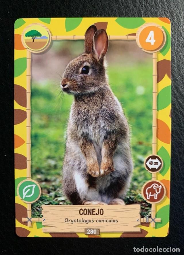 Trading cards: 280 CONEJO REWILD Panini 2022. - Foto 1