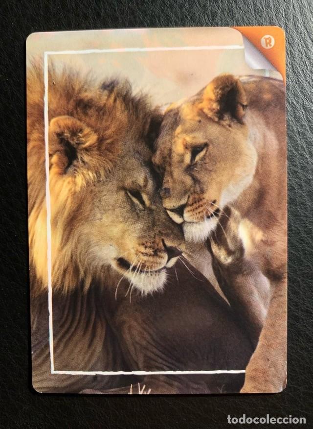 Trading cards: 346 LE&Oacute;N REWILD Panini 2022 - Foto 1