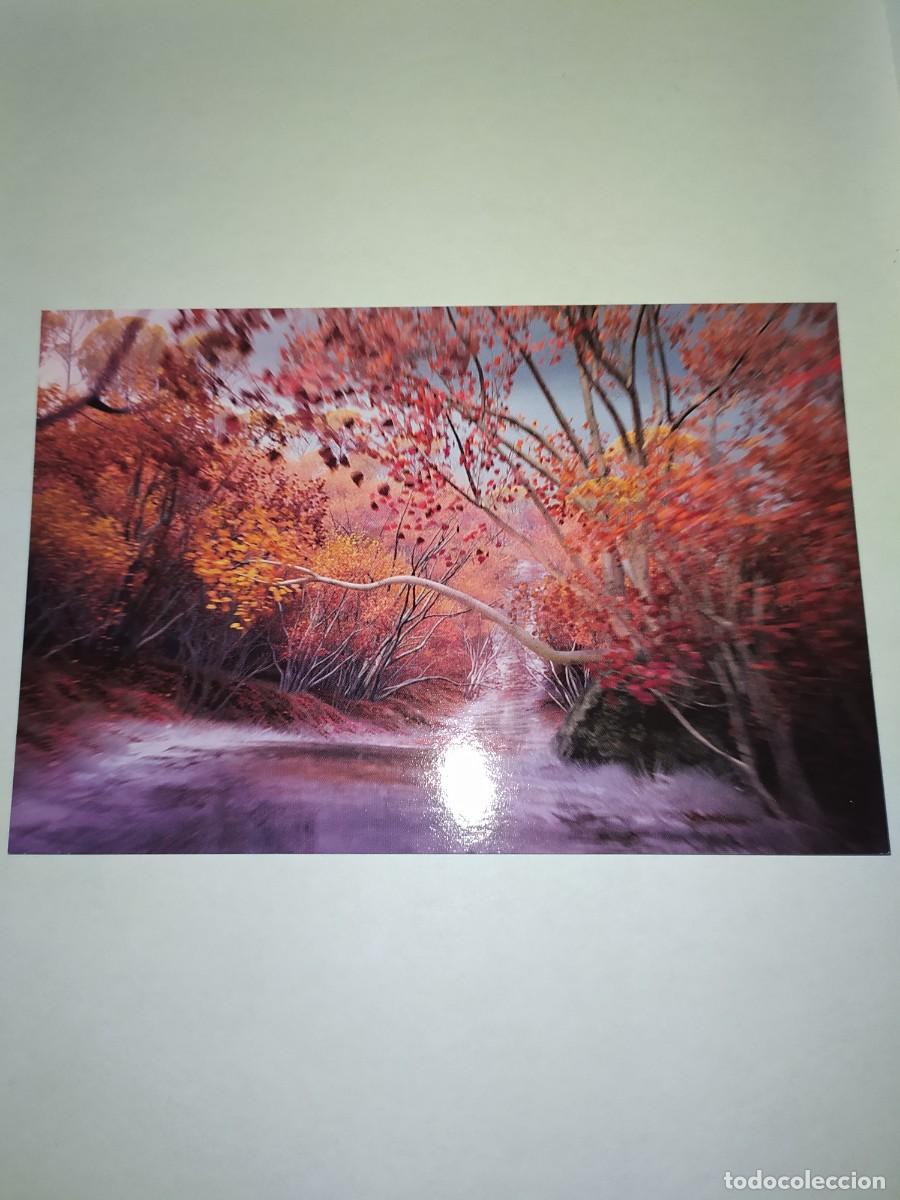 Trading cards: FROZEN 2 PHOTOCARDS - N&Uacute;MERO 62 - Foto 1