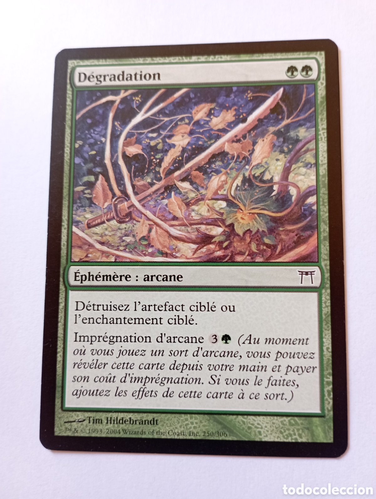 Trading Cards: Carta Magic D&eacute;gradation (franc&eacute;s) 1993-2004