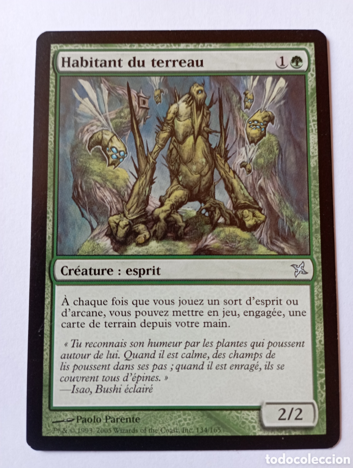 Trading Cards: Carta Magic Habitant du terreau (franc&eacute;s) 1993-2005