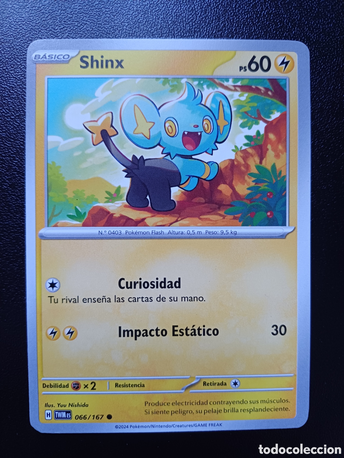 Trading Cards: #066/167 SHINX POKEMON Mascarada Crepuscular [Escarlata y P&uacute;rpura] 2024