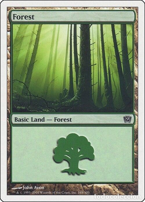 Trading Cards: Carta MTG-Foresta (V.2)-Nona Edizione-N.348-ITA-LP- - Magic the Gathering