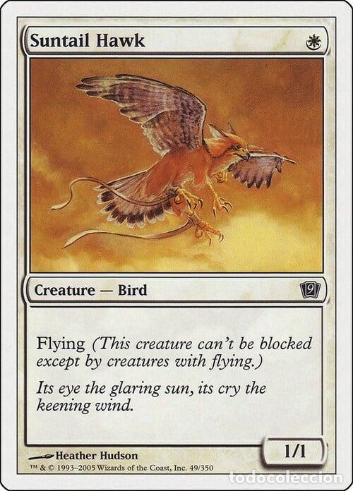 Trading Cards: Carta MTG-Falco Astrocoda-Nona Edizione-N.014-ITA-EX- - Magic the Gathering