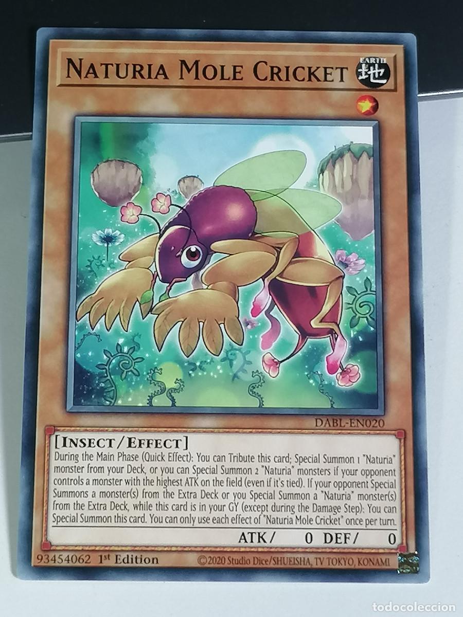 YuGiOh NATURIA MOLE CRICKET DABL-EN020 KONAMI 1st EDITION