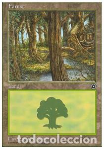 Trading Cards: Carta MTG-Forest (V.1)-Anthologies-N.006-EN-EX- - Magic the Gathering