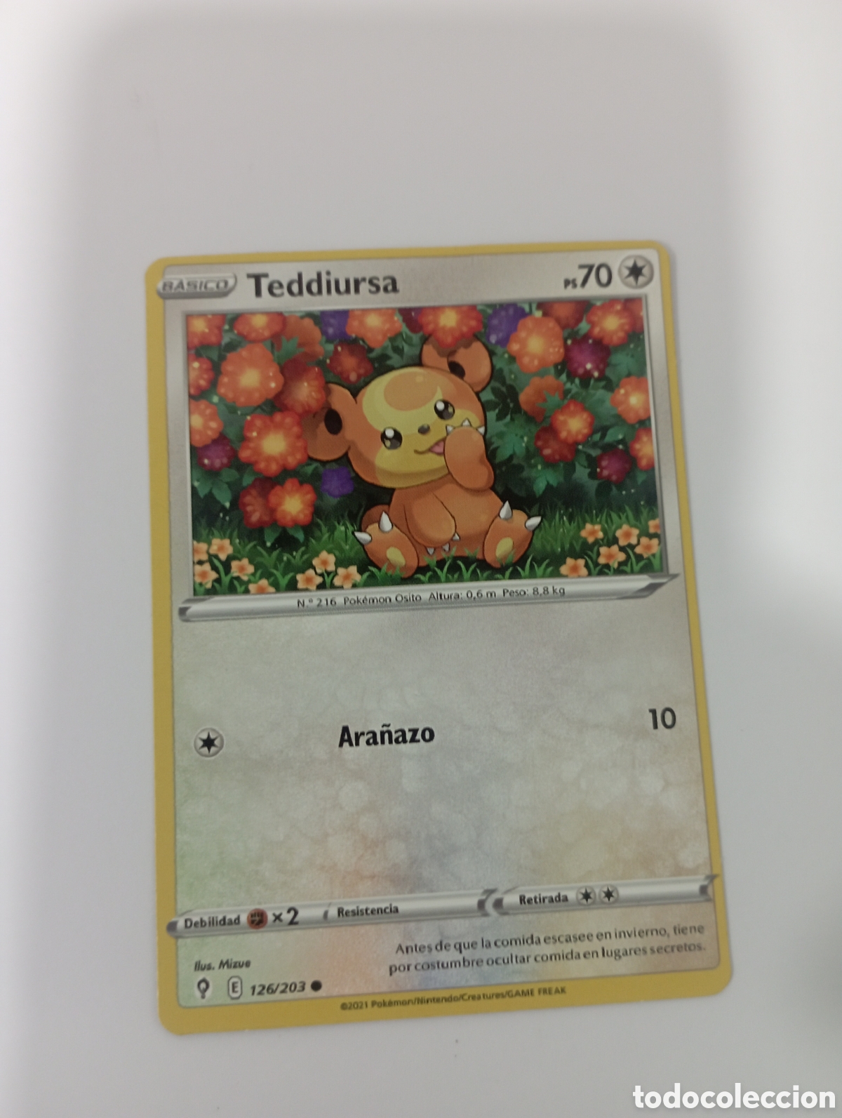 pokemon card teddiursa carta pokemon - Buy Antique trading cards on  todocoleccion