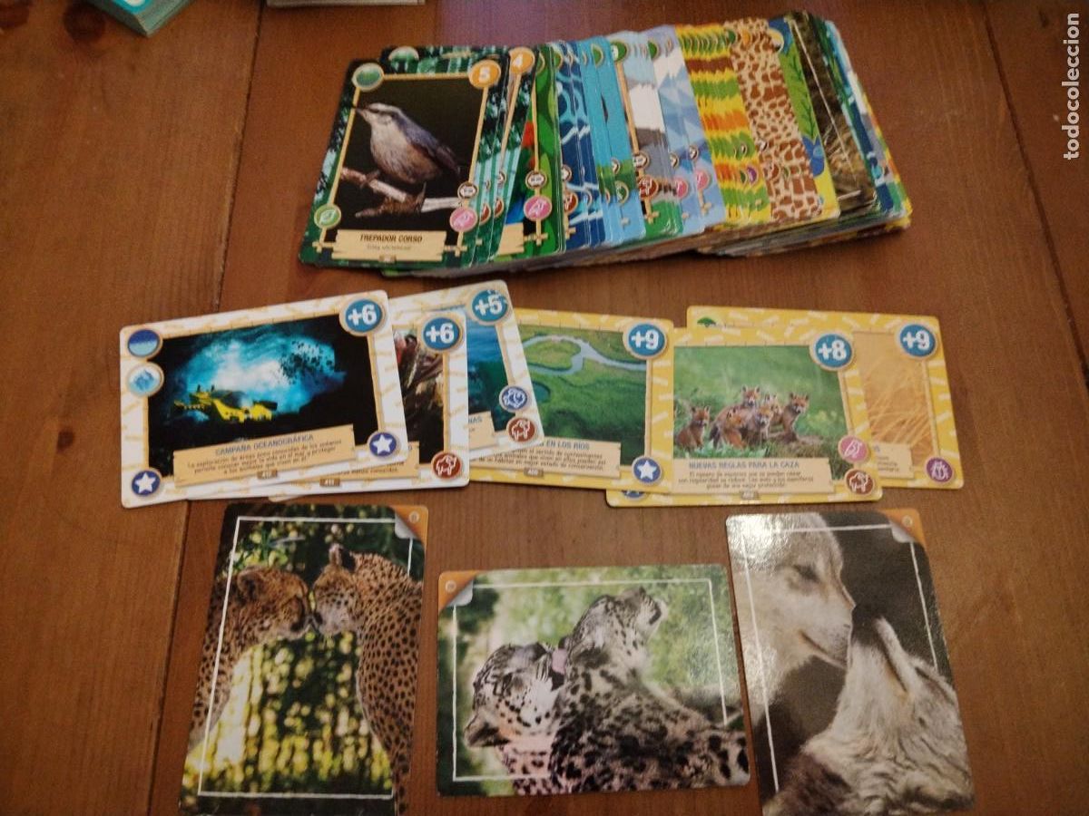Trading cards: Rewild - Panini -77 tarjetas - Foto 1
