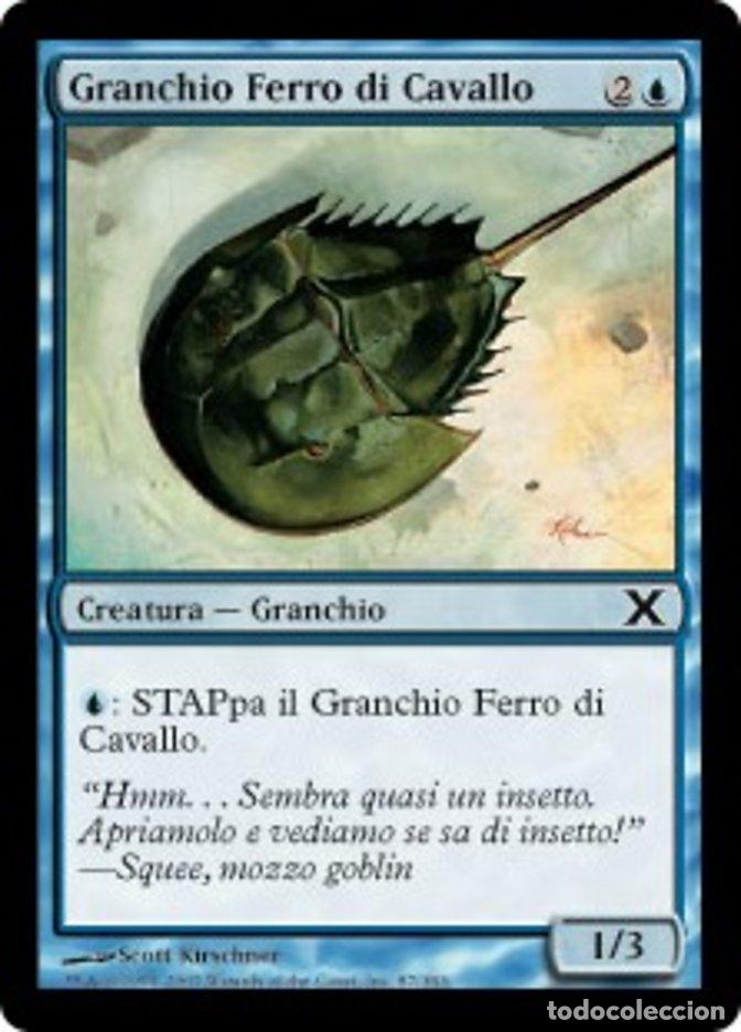 Trading Cards: Carta MTG-Granchio Ferro di Cavallo-Decima Edizione-N.087-ITA-EX-Common - Magic the Gathering