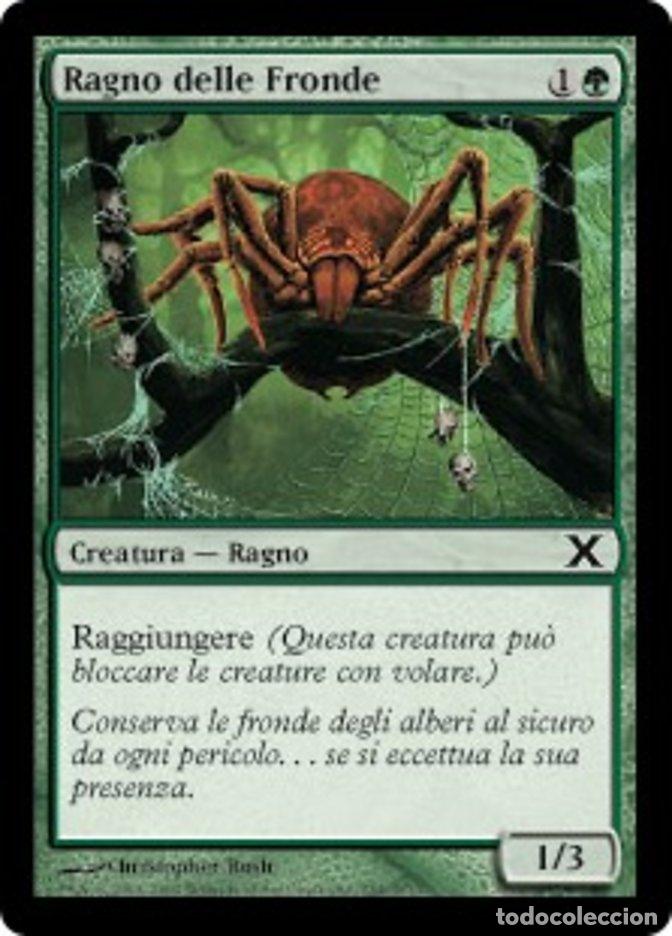 Trading Cards: Carta MTG-Ragno delle Fronde-Decima Edizione-N.254-ITA-EX-Common - Magic the Gathering