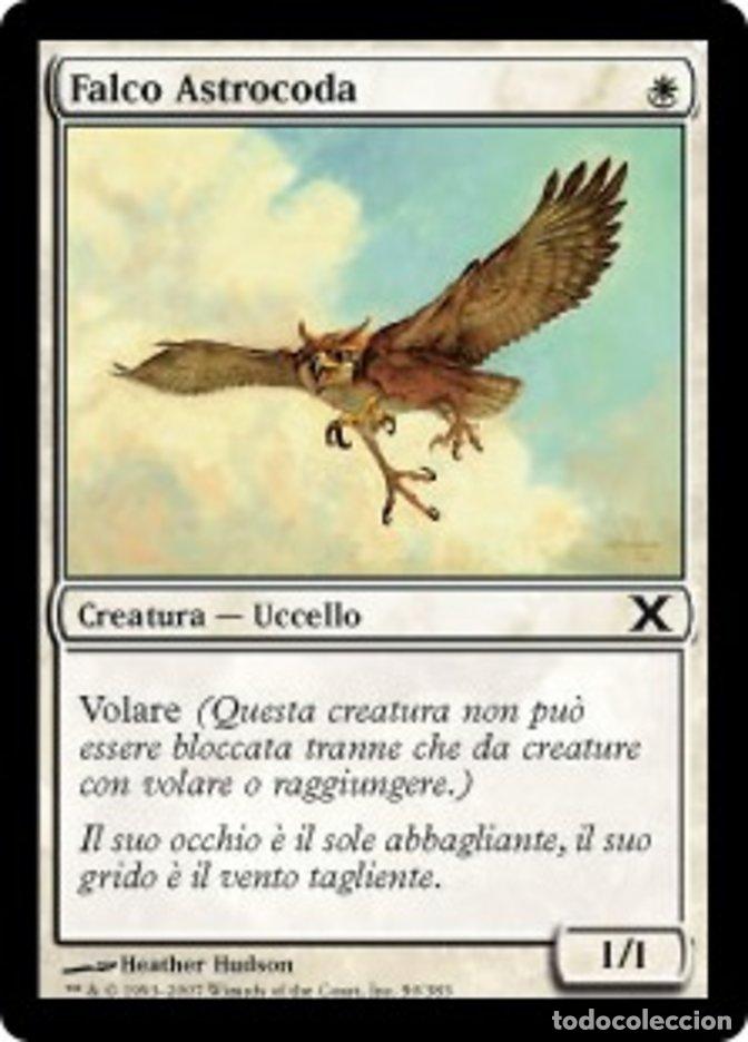 Trading Cards: Carta MTG-Falco Astrocoda-Decima Edizione-N.050-ITA-EX-Common - Magic the Gathering