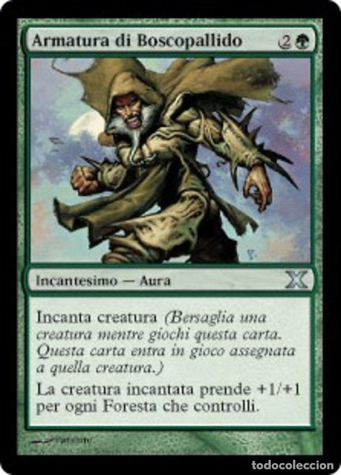 Trading Cards: Carta MTG-Armatura di Boscopallido-Decima Edizione-N.253-ITA-EX-Uncommon - Magic the Gathering