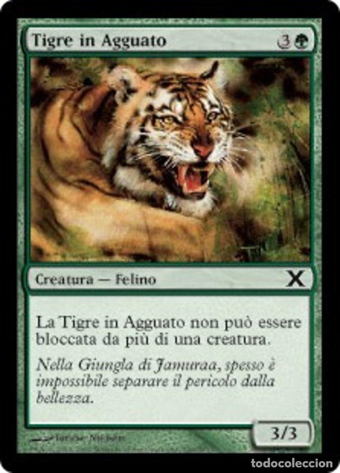 Trading Cards: Carta MTG-Tigre in Agguato-Decima Edizione-N.299-ITA-EX-Common - Magic the Gathering