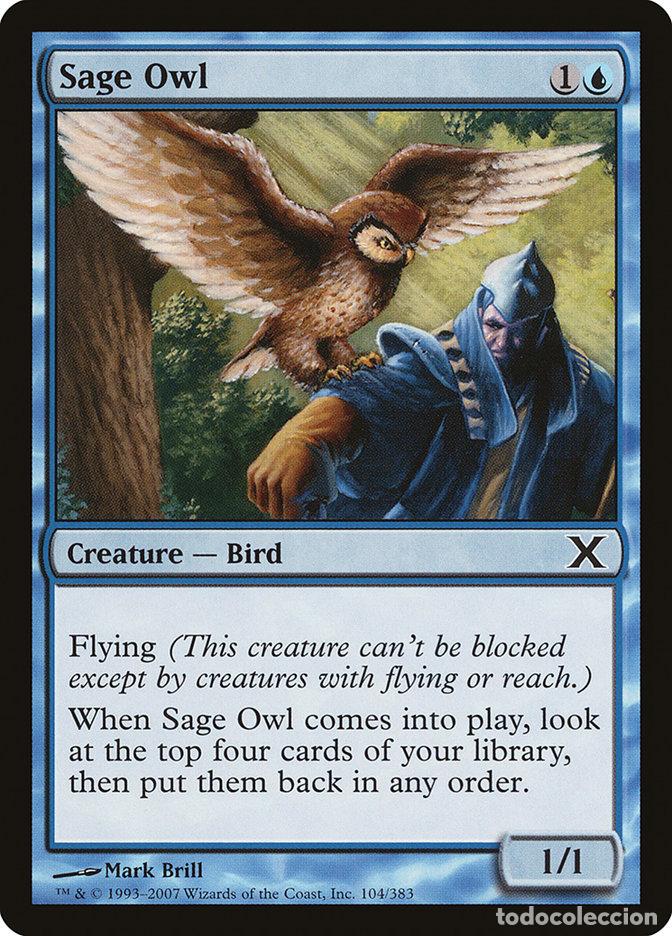 Trading Cards: Carta MTG-Sage Owl -Decima Edizione-N.104-EN-EX-Common - Magic the Gathering