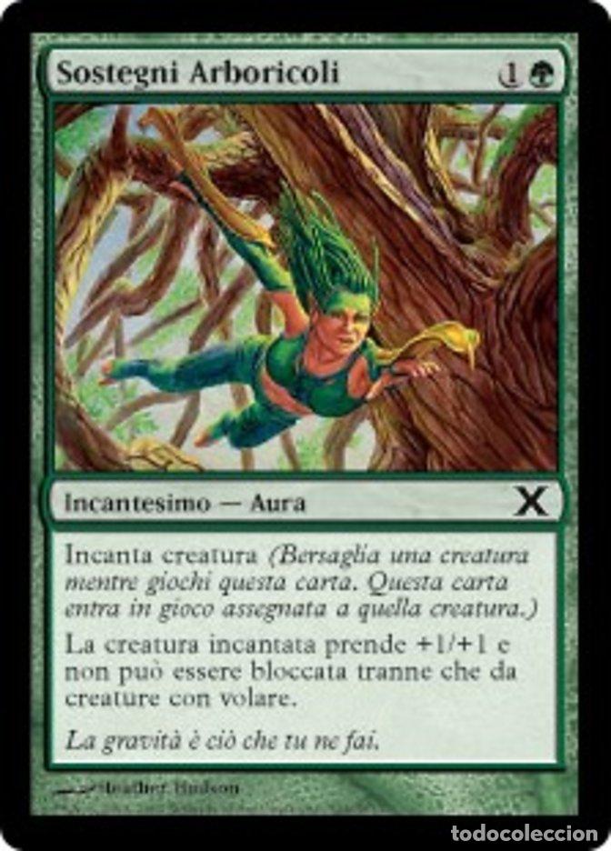 Trading Cards: Carta MTG-Sostegni Arboricoli-Decima Edizione-N.304-ITA-LP-Common - Magic the Gathering