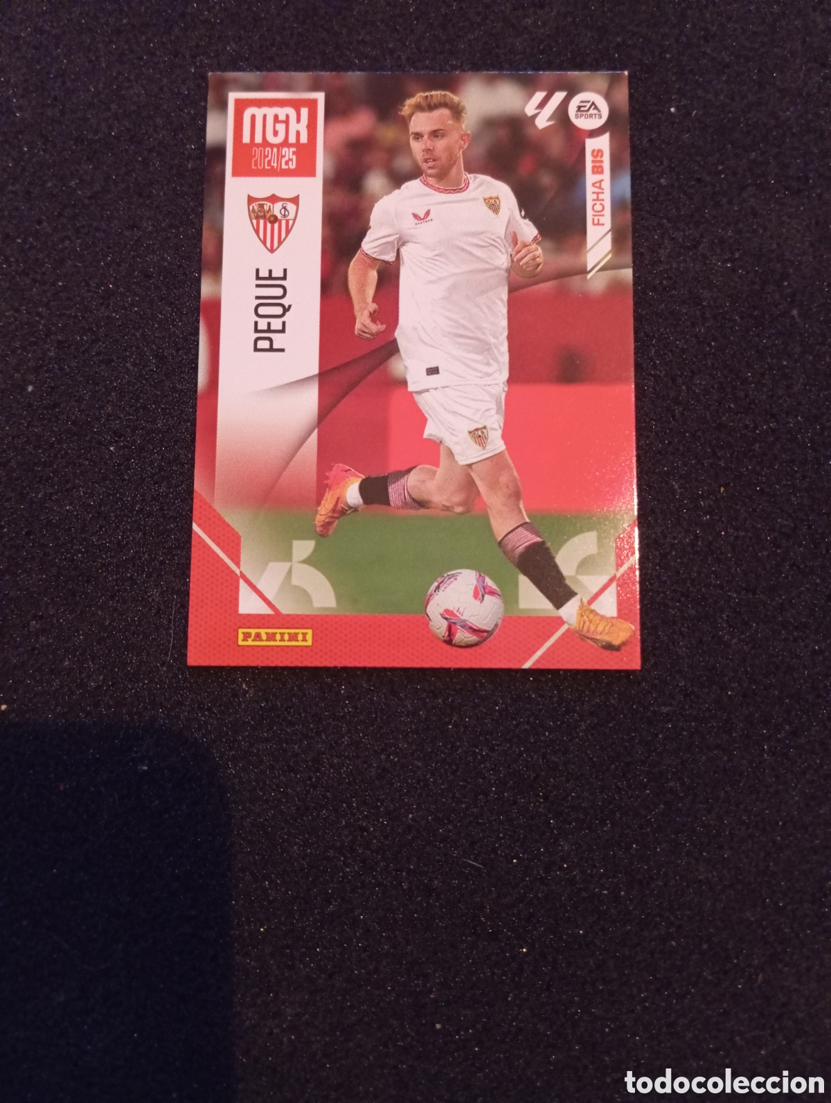 Trading cards: 321 BIS Peque / Megacracks 2024 - Foto 1