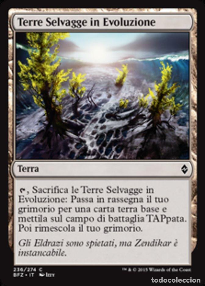 Trading Cards: Carta MTG-Terre Selvagge in Evoluzione-Battaglia per Zendikar-N.236-ITA-EX-Com - Magic the Gathering
