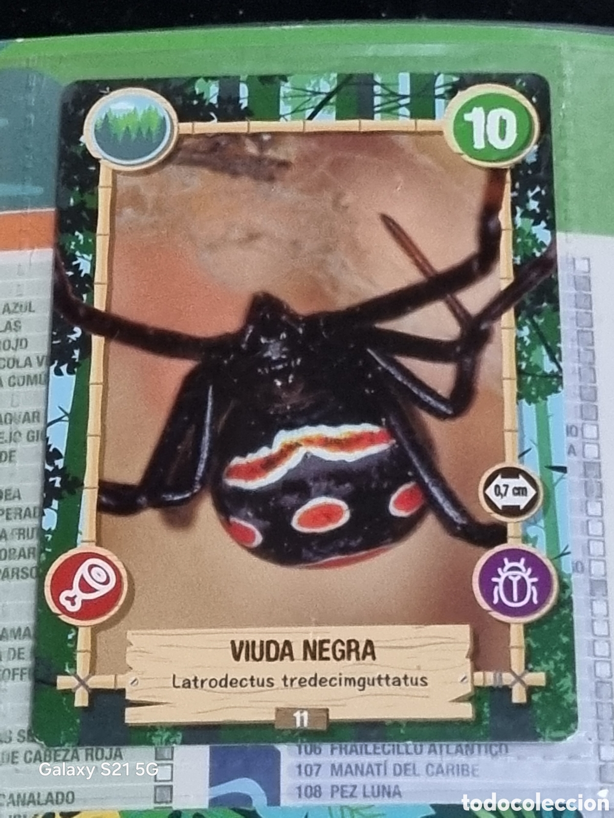 Trading cards: 11 - VIUDA NEGRA REWILD PANINI - Foto 1