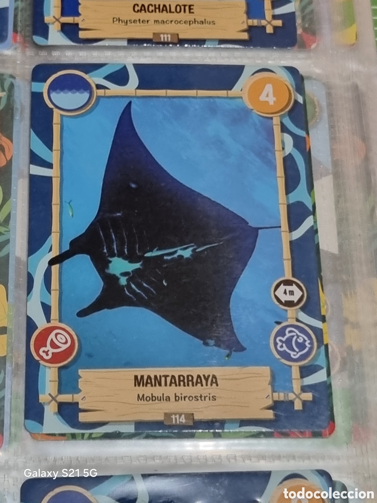Trading cards: 114 - MANTARRAYA - REWILD PANINI - Foto 1