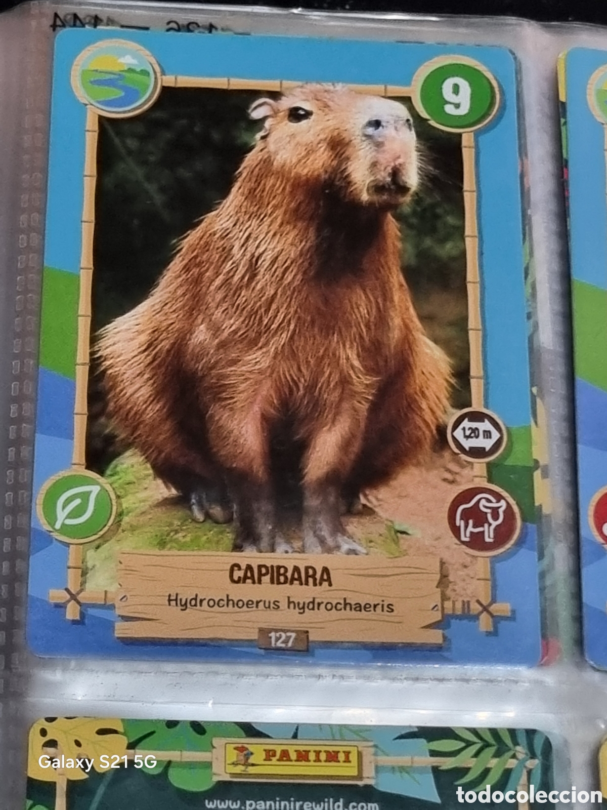 Trading cards: 127 - CAPIBARA - REWILD PANINI - Foto 1