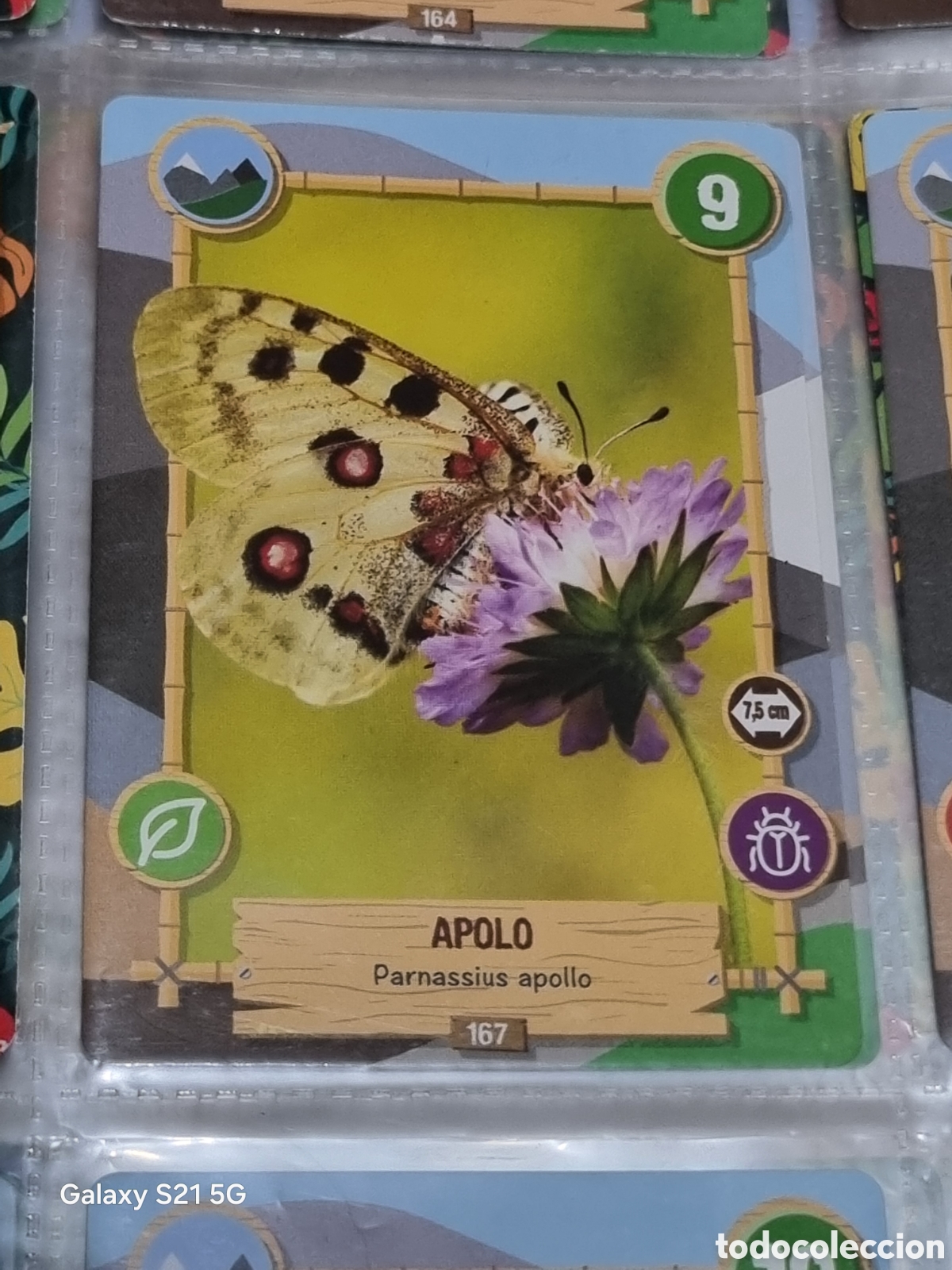 Trading cards: 167 - APOLO - REWILD PANINI - Foto 1