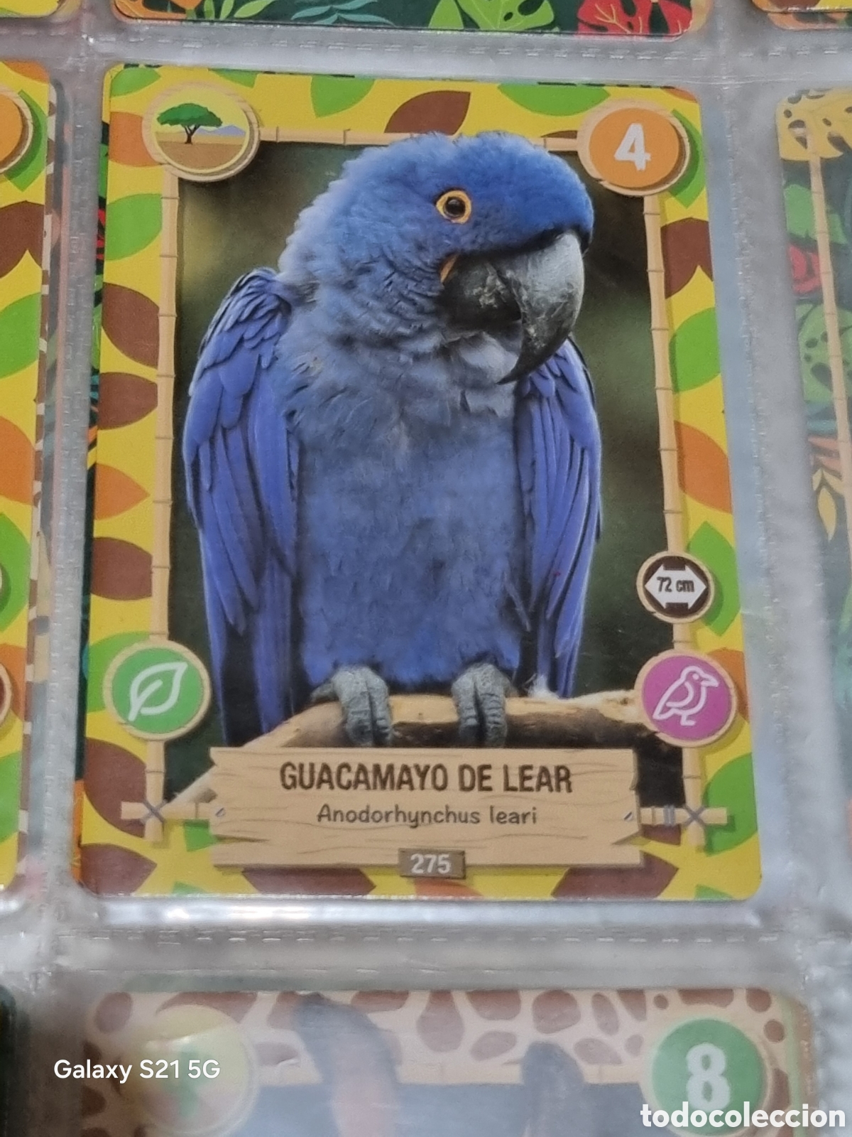 Trading cards: 275 - GUACAMAYO DE LEAR - REWILD PANINI - Foto 1