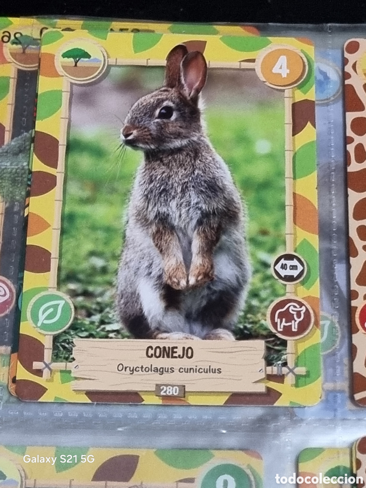 Trading cards: 280 - CONEJO - REWILD PANINI - Foto 1