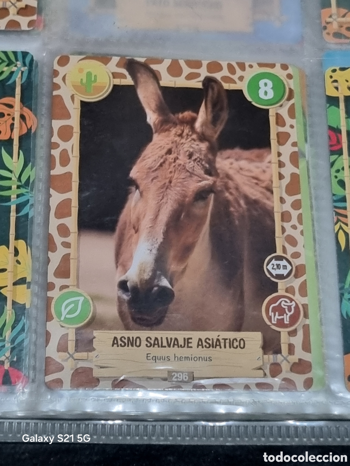 Trading cards: 296 - ASNO SELVAJE ASIATICO - REWILD PANINI - Foto 1