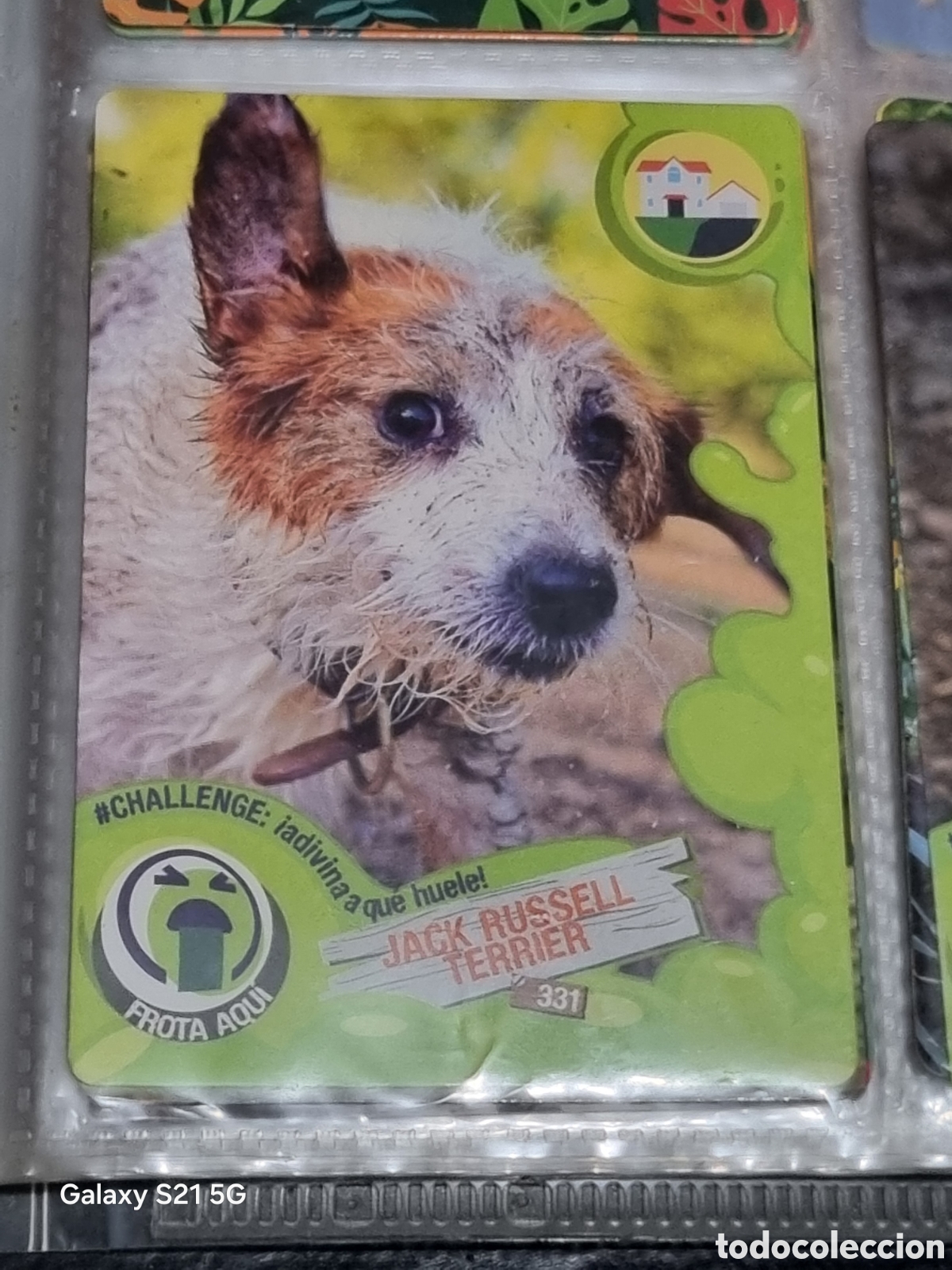 Trading cards: 331 - JACK RUSSEL TERRIER - REWILD PANINI - Foto 1