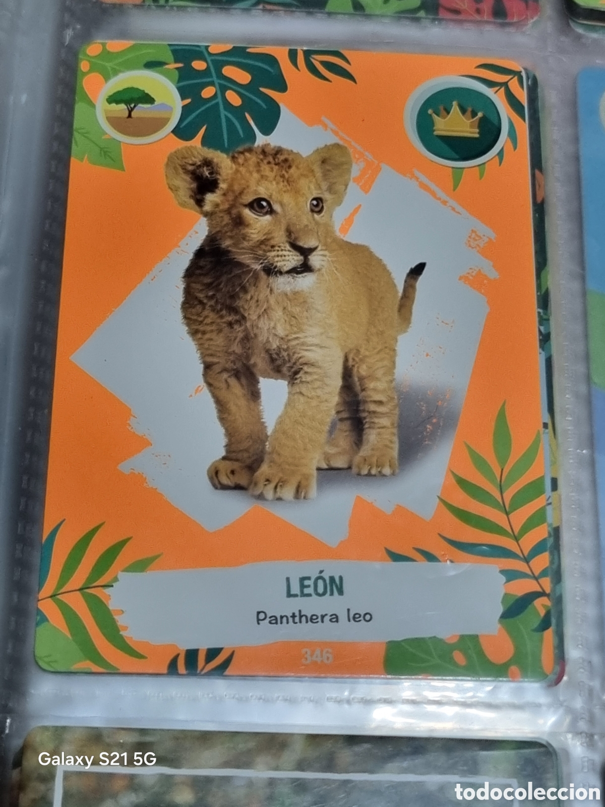 Trading cards: 346 - LEON - REWILD PANINI - Foto 1