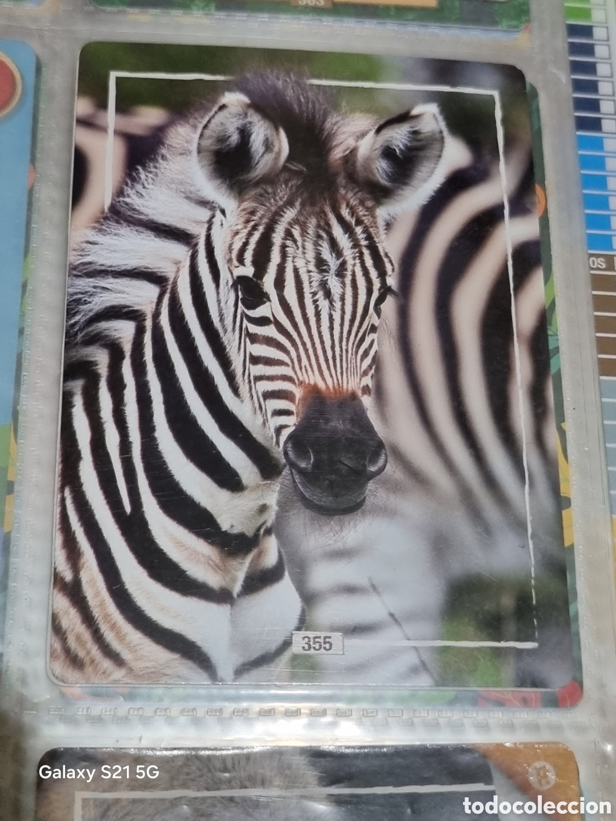 Trading cards: 355 - CEBRA - REWILD PANINI - Foto 1