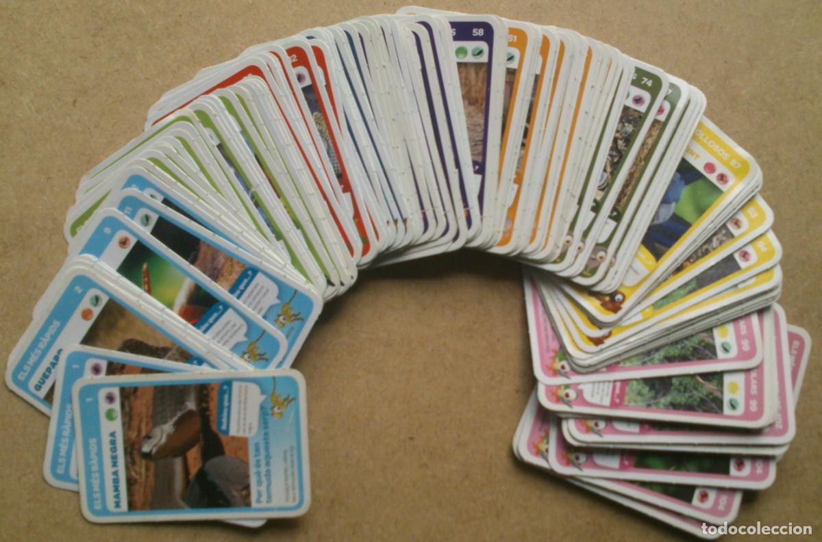 Trading cards: LOTE DE 85 CARTAS SUPER ANIMALS 1 - Foto 1