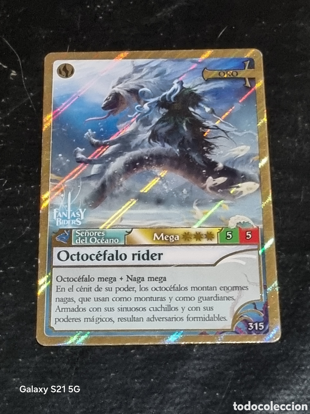 Cartes &agrave; &Eacute;changer: 315 - FANTASY RIDERS 2 PANINI 2019