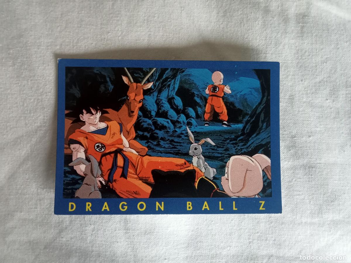 Trading Cards: Dragon Ball Z Card Panini 89