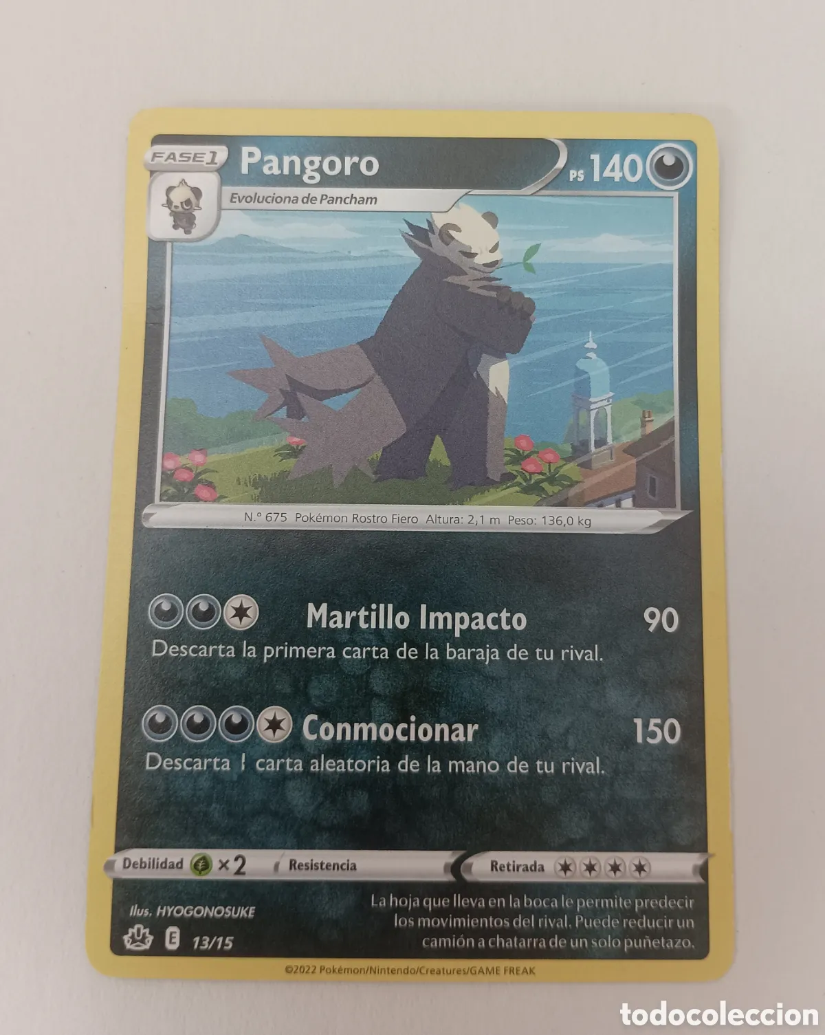 Carta Pokemon Pangoro 13/15 – Versión sin brillo (no holo) – Colección promo oficial McDonald's