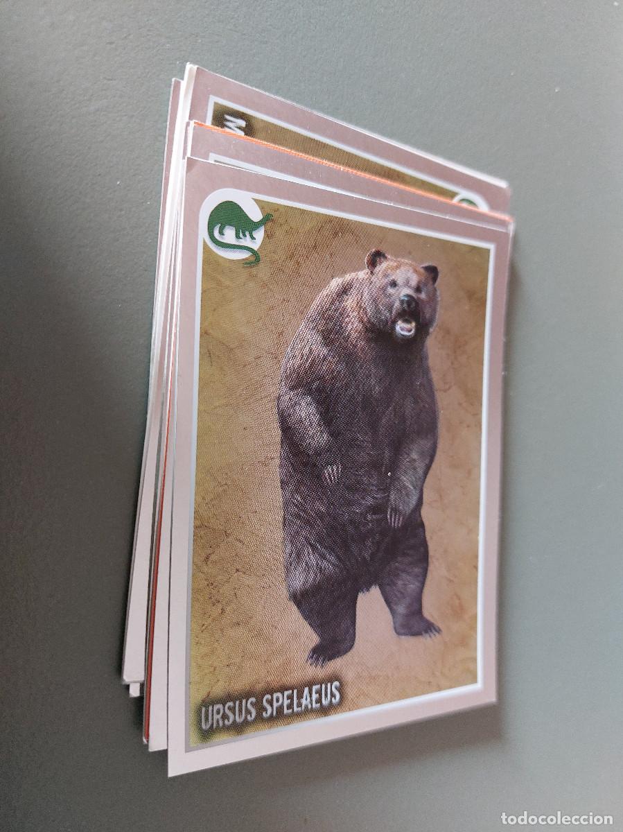 Cartes &agrave; &Eacute;changer: 476 URUS SPELAEUS. ANIMALES. 2012. CARTA. CROMO. COMO NUEVO. SIN PEGAR.