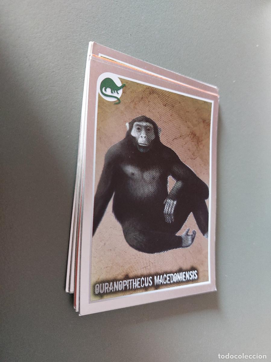 Cartes &agrave; &Eacute;changer: 474 OURANOPITHECUS MACEDONIENSIS. ANIMALES. 2012. CARTA. CROMO. COMO NUEVO. SIN PEGAR.